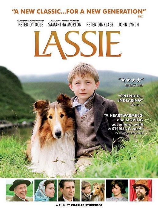 Lassie Portal Do Dog Para Quem Ama Cachorros
