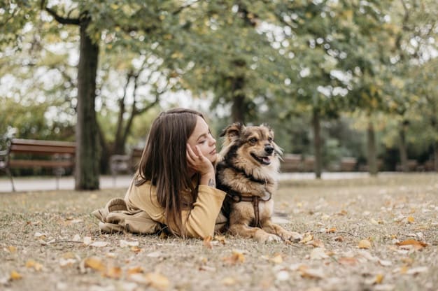 conexão entre cão e tutor