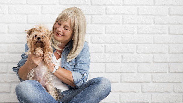 cachorro ajuda no envelhecimento saudável