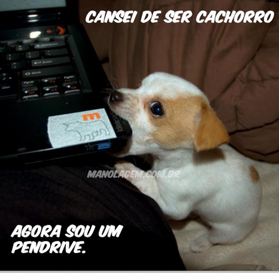 1453-cansei-de-ser-cachorro