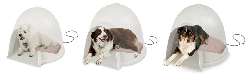 caminha_iglu_cachorro_cao