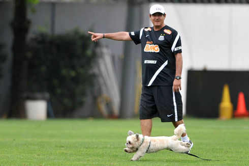 Muricy-Ramalho-Treino-Santos Muricy Ramalho Treino Santos