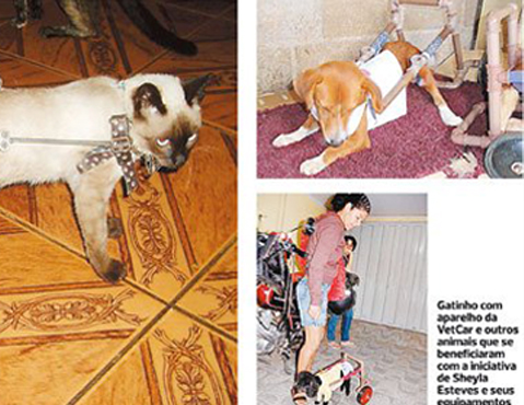 animais_protese_cachorro