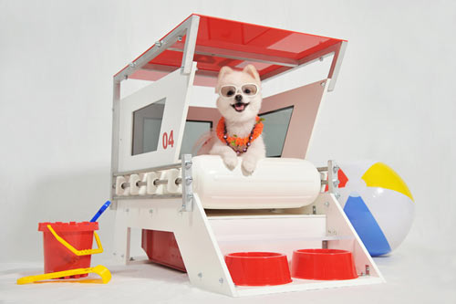 casinha_cachorro_salvavidas_01
