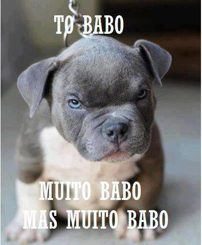 to_babo