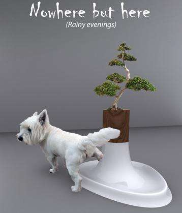 nowhere-but-here-dog-potty