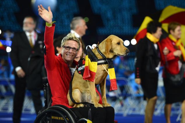 paraolimpiadas_cachorros paraolimpiadas cachorros
