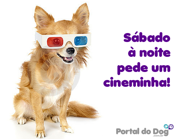 sabado_cineminha_cachorro