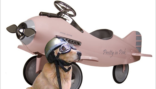 viajando_com_o_cao viajando com o cao