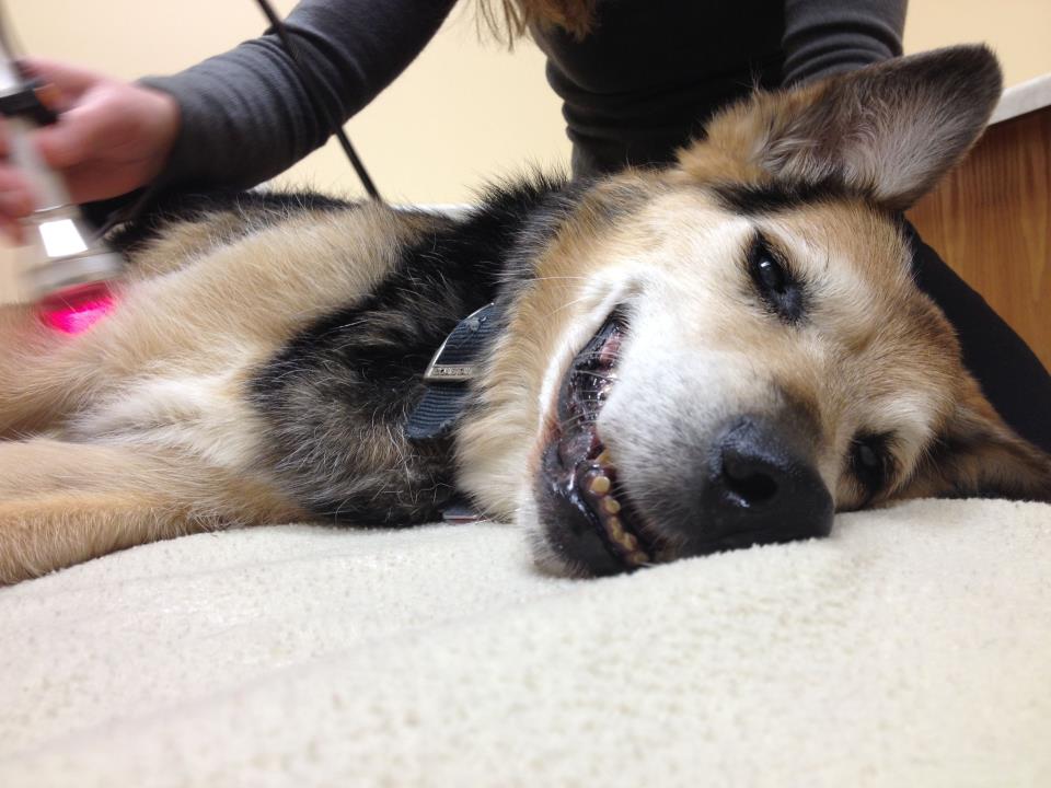 schoep_tratamento_laser schoep tratamento laser