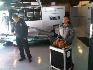 Lewis Hamilton postou uma foto com seu cachorro Roscoe nos treinos da F-1. Reprodução