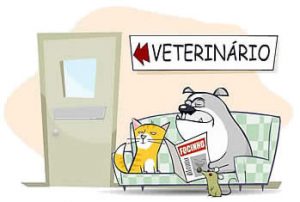 Leve o seu cão ao veterinário! Foto: Reprodução/ Google Images