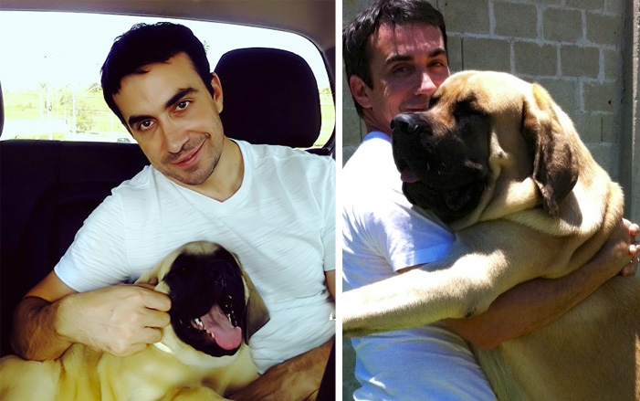 padre-fabio-melo-nathan-mastife-ingles padre fabio melo nathan mastife ingles