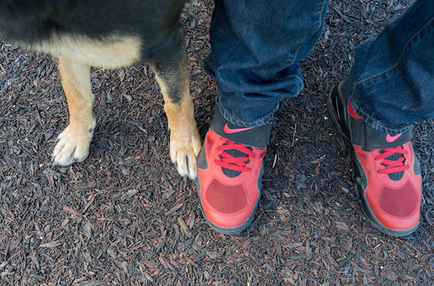 alex-beker-pes-patas-fotografias-cachorros-04 alex beker pes patas fotografias cachorros 04