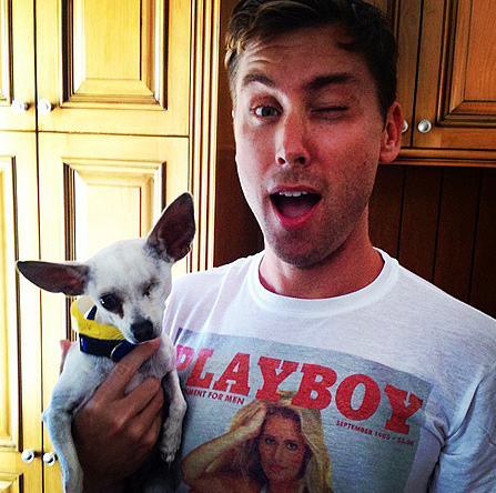 lance-bass-nsync- lance bass nsync