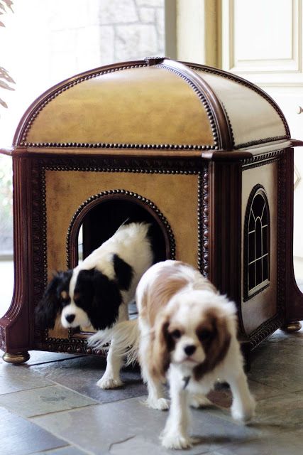 boas-ideias-cachorro (45)