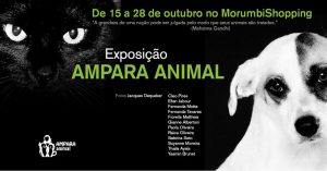 Cartaz da exposição. Foto: Reprodução/ Facebook Ampara Animal