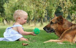 Cachorros ajudam na imunidade das crianças. (Foto: Reprodução / Google)
