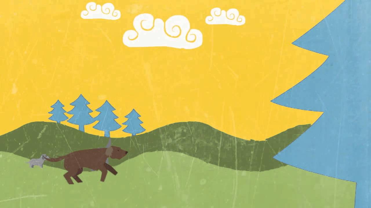 Campanha “Adotar é tudo de bom” da Pedigree completa 5 anos com promoção especial