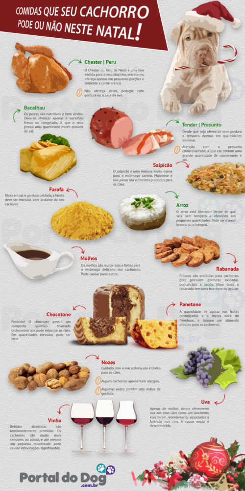Comidas que o seu cachorro pode comer no natal 1 comidas-cachorro-pode-comer-ceia-natal