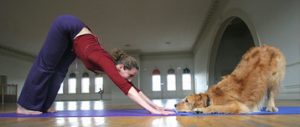 Tutora e seu cão praticando Doga. Foto: Reprodução/Google Images