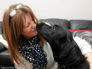 A cachorra salvou a vida de sua tutora, que estava engasgada. (Foto: Reprodução / Daily Mail)