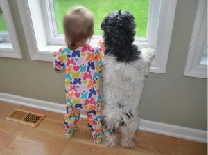 Estudo indica que as crianças preferem os cachorros. (Foto: Reprodução / Google)