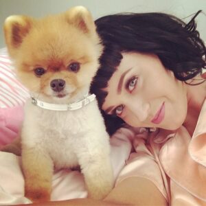 Katy Perry com a celebridade canina, Jiff. (Foto: Reprodução / Instagram)