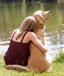 Estudo mostra que a relação entre cães e tutores é bem próxima. (Foto: Reprodução / Google)