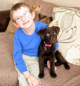 Ben e a cachorra Rosie são amigos inseparáveis. (Foto: Reprodução / Daily Mail)
