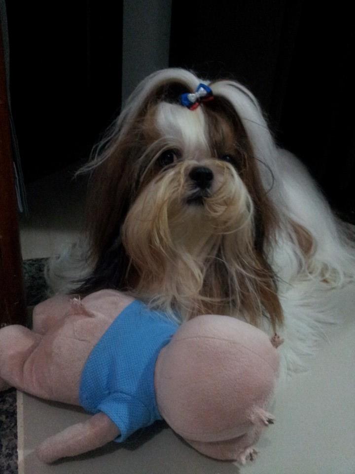 Frederico