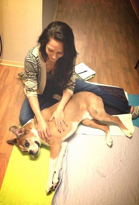 Mulher cria e realiza "lista de desejos" de cão com câncer incurável 9 (Foto: Reprodução / Facebook)