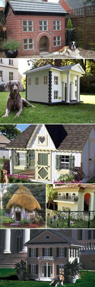 Incríveis mansões luxuosas feitas para cachorros no Brasil 1 Mansões para cachorros. Foto: Divulgação. Montagem: Portal do Dog