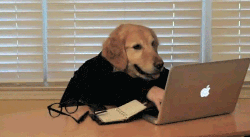 15 Cachorros humanos em gifs 3 tumblr_n06l2mXy1T1scjbypo1_500
