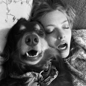 Amanda Seyfried e seu cachorro Finn. (Foto: Reprodução / Instagram)