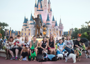 Cachorros fantasiados participaram de evento especial em parque da Disney. (Foto: Reprodução / Disney Park Blogs) 