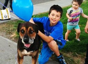 A Make-A-Wish trouxe o cachorro Popelle para perto do garoto Francisco. (Foto: Reprodução / Bark Post)