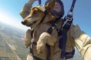 Nathan Batiste levou seu cachorro para saltar de paraquedas. (Foto: Reprodução / Daily Mail)