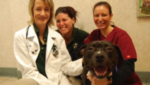 O cachorro Odin com equipe de veterinários. (Foto: Reprodução / Youtube / CineMavericksMedia)