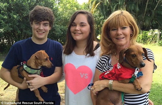 Adolescente que teve uma perna amputada adota cão de três patas 2 Agora o cão Pooh tem um lar. (Foto: Reprodução / Daily Mail UK)