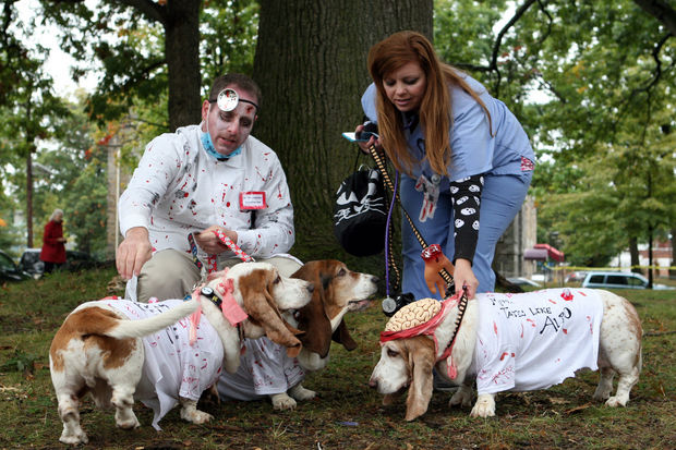 Dog Walk of the Dead - evento de Halloween dos cães 5 (Foto: Reprodução / NJ.com)