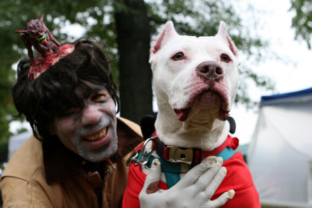 Dog Walk of the Dead - evento de Halloween dos cães 4 (Foto: Reprodução / NJ.com)