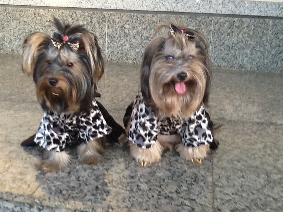 Nina e Bibi