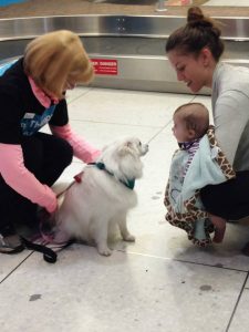 Pessoas de qualquer idade podem interagir com os cães. (Foto: Reprodução / Facebook / Edmonton Internacional Airport)