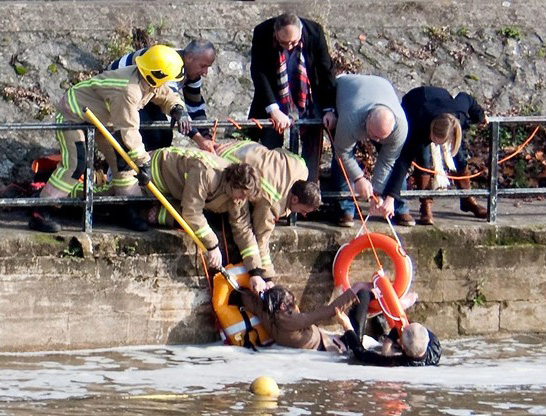 Idosa pula em rio para salvar seu cãozinho. Foto: Reprodução / LifeWithDogs