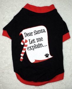 Camiseta Dear Santa, Let me explain... (Foto: Divulgação)