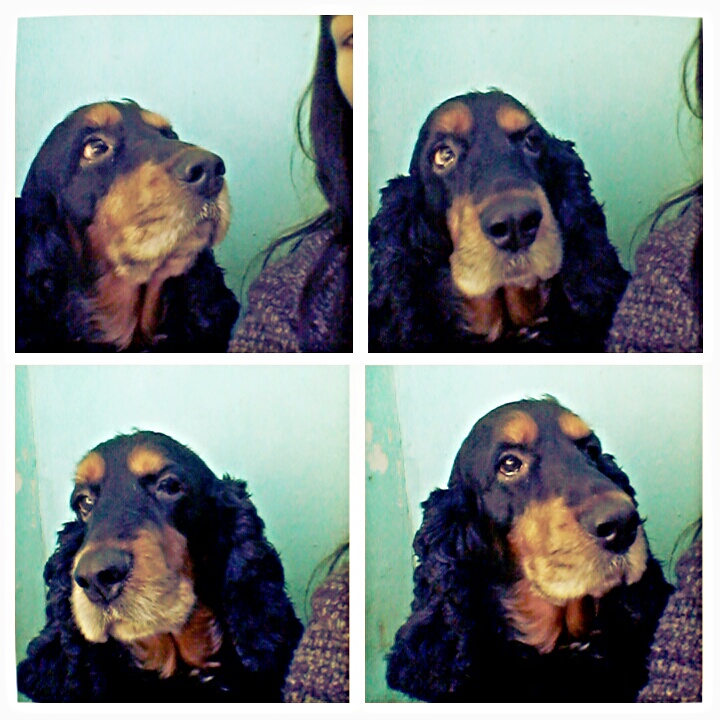 Betoven