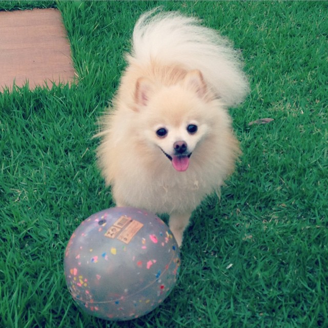 Lola