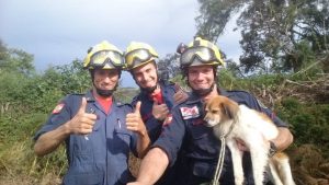 Os bombeiros resgataram o cachorro. (Foto: Reprodução / Facebook / CBM Ituporanga)