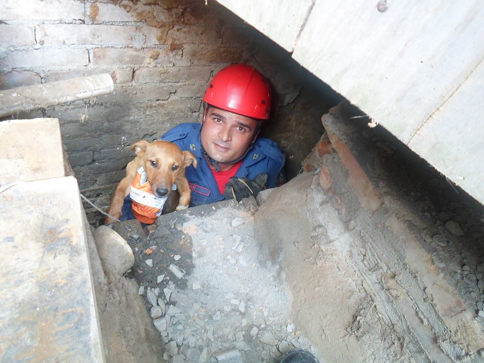O bombeiro Jean Renato resgatando o cachorrinho do esgoto. (Foto: Reprodução / Facebook)
